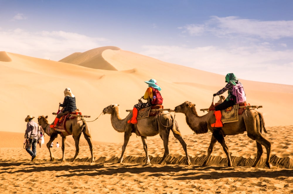 camel riding- lut- iran