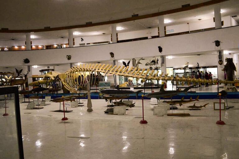 The Museum of Natural History and Technology-shiraz-iran